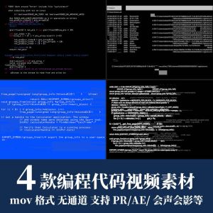 4款编程代码视频素材