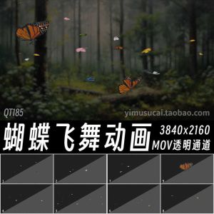 蝴蝶飞舞动画