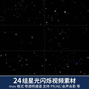 24组星光闪烁视频素材