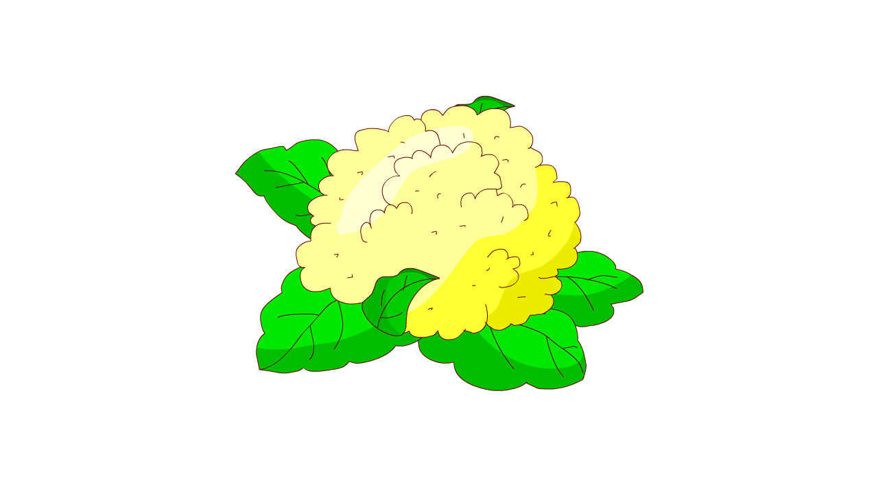 AN格式道具，花菜