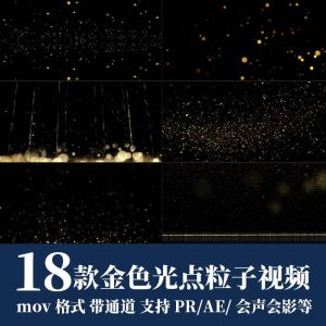18款金色光点粒子视频