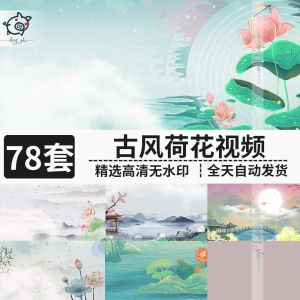 78套古风荷花视频