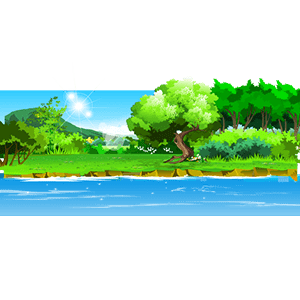 海边沙滩 20