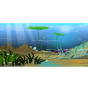 海底 15